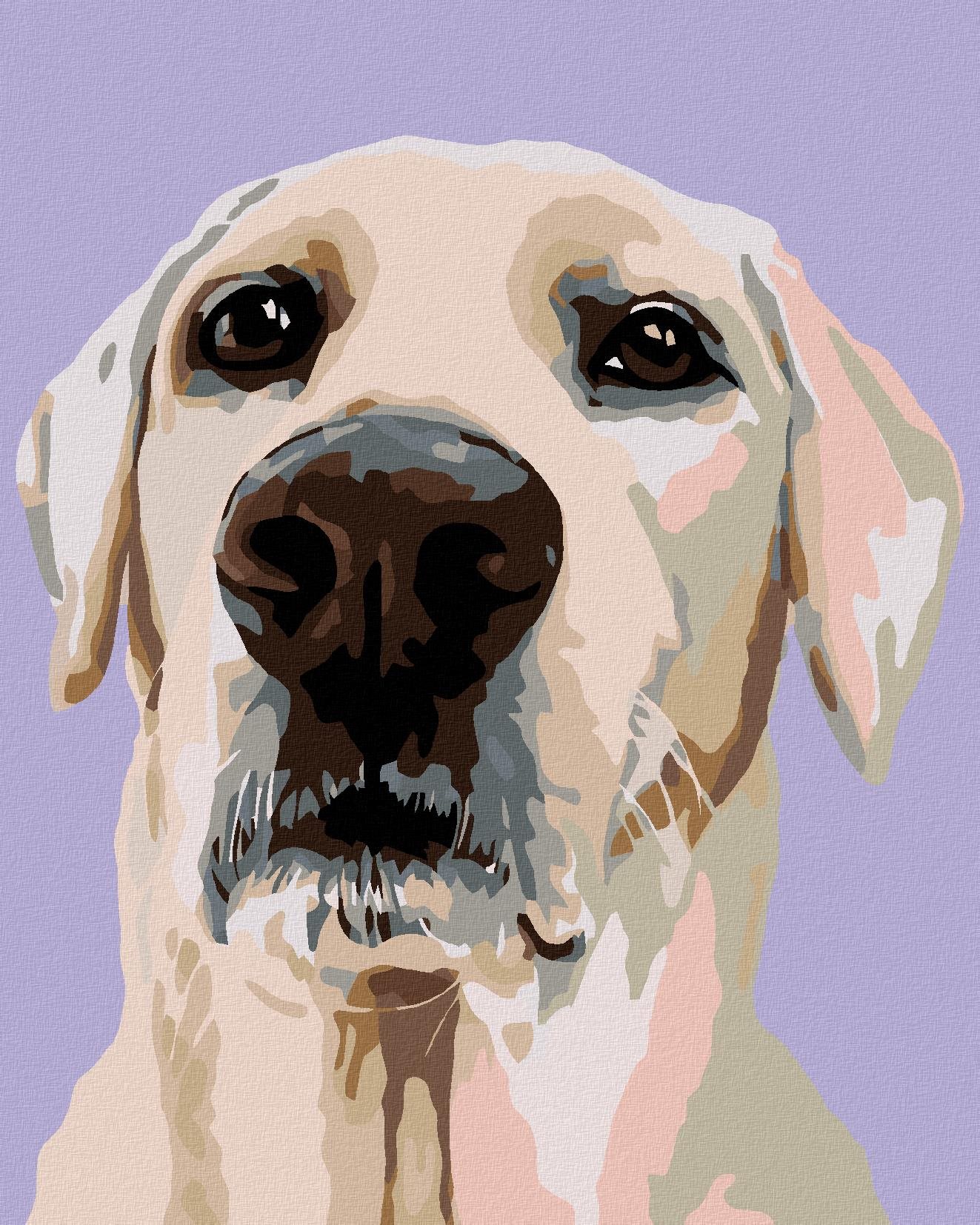 Diamondi - LABRADORSKÝ RETRÍVR, 40x50 cm, vypnuté plátno na rám