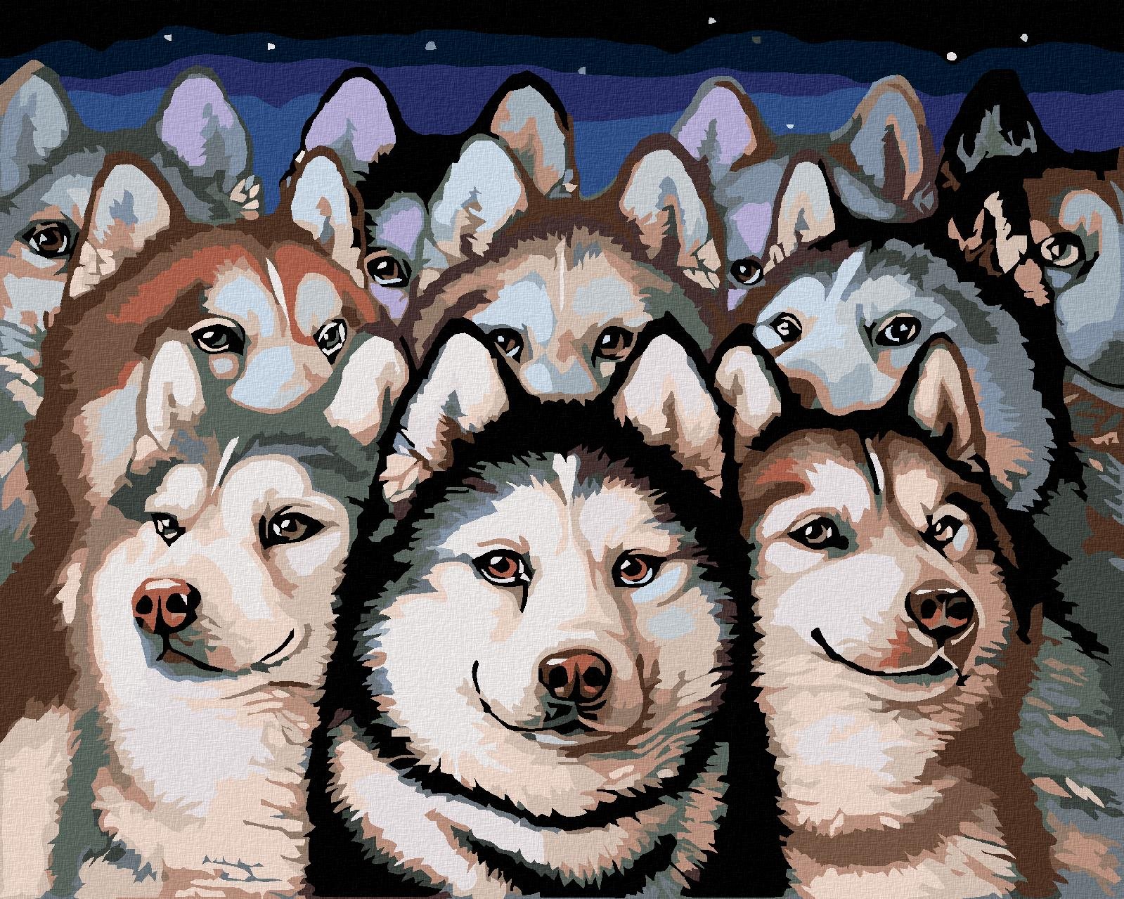 Diamondi - TLUPA HUSKY, 40x50 cm, vypnuté plátno na rám