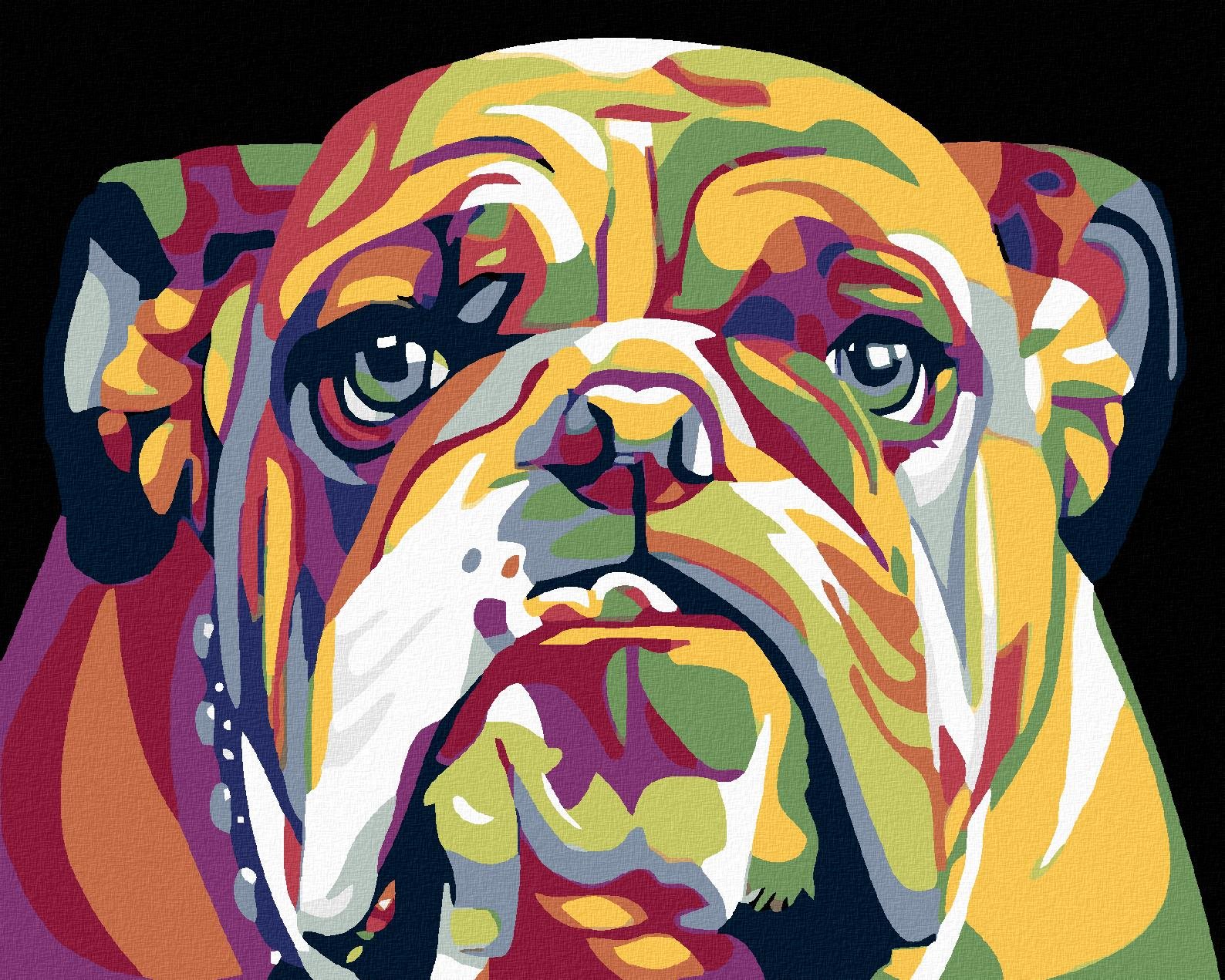 Diamondi - BULDOG, 40x50 cm, vypnuté plátno na rám