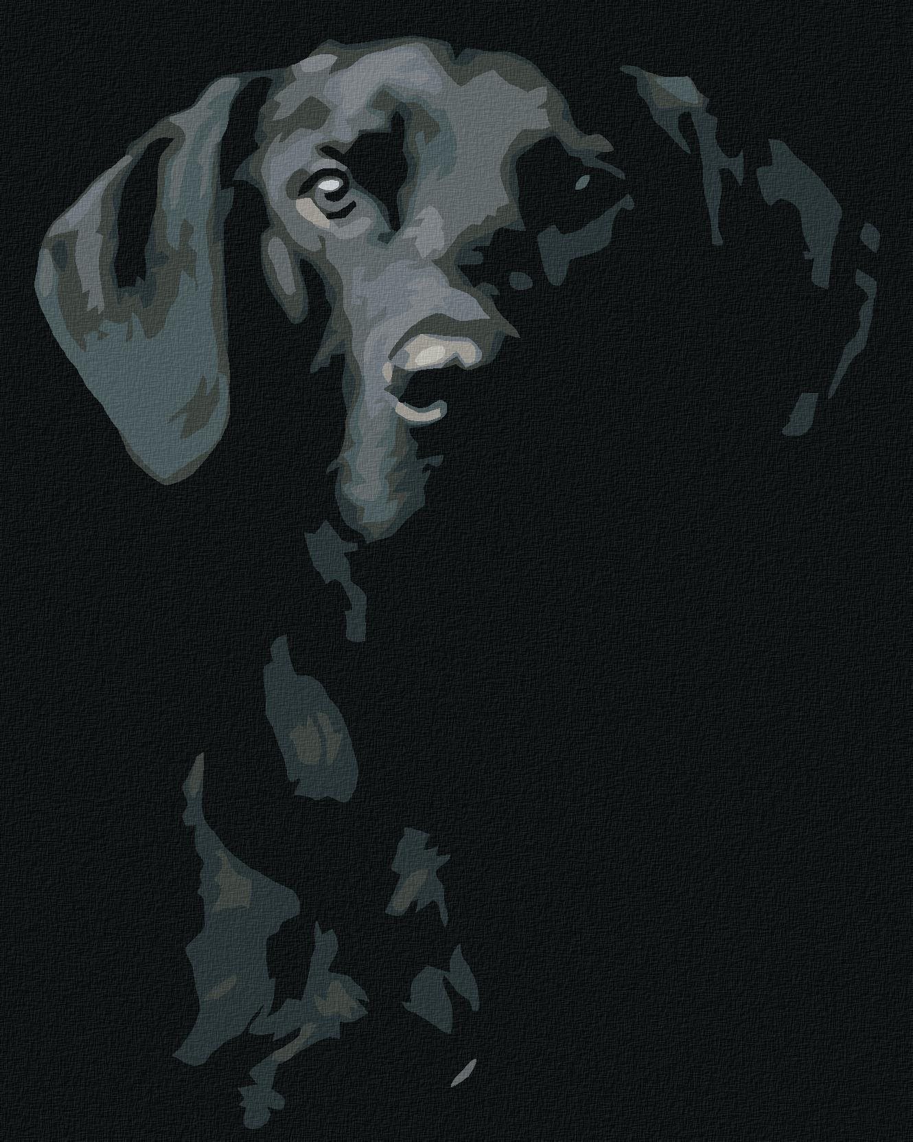 Diamondi - ČERNOBÍLÝ PES, 40x50 cm, vypnuté plátno na rám