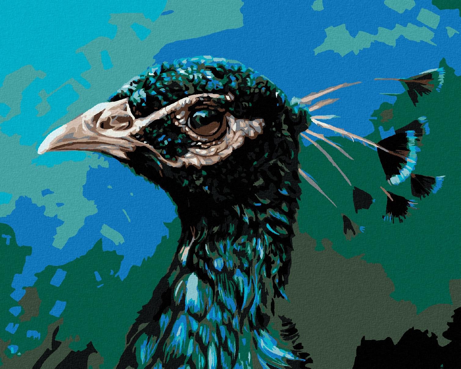 Diamondi - PAVÍ PROFIL, 40x50 cm, vypnuté plátno na rám
