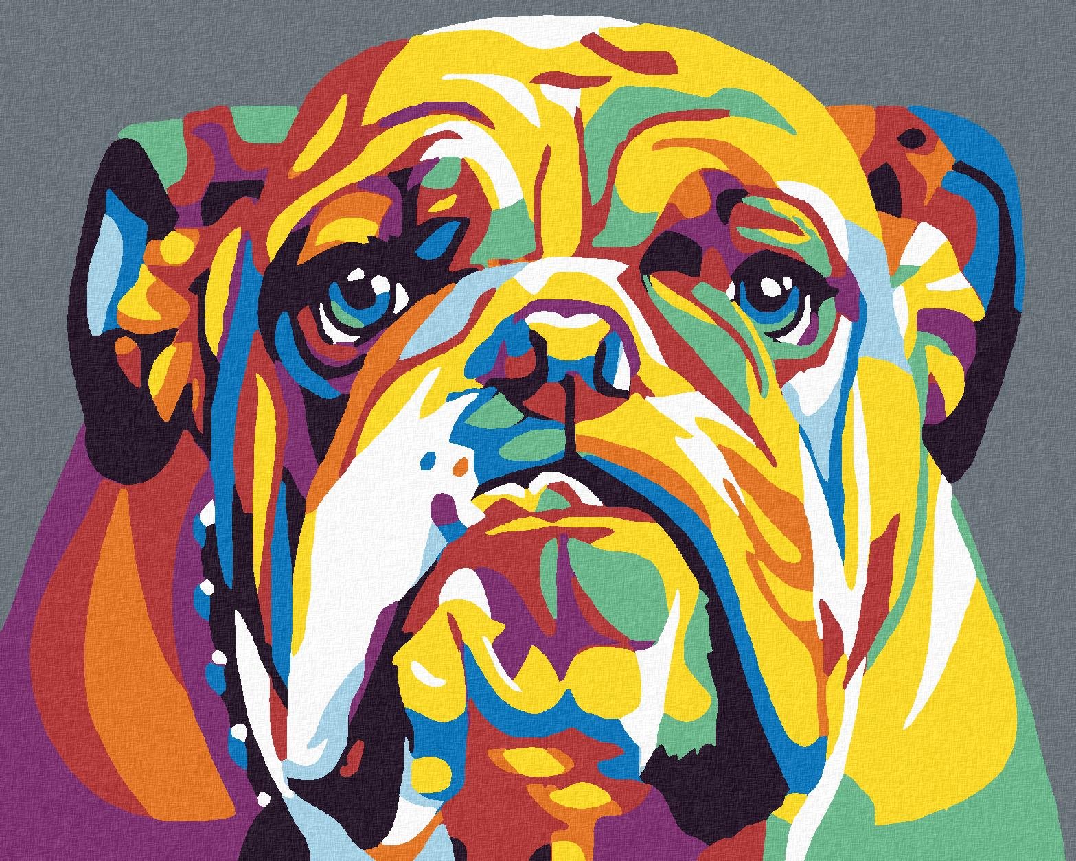 Diamondi - BULDOG II, 40x50 cm, vypnuté plátno na rám