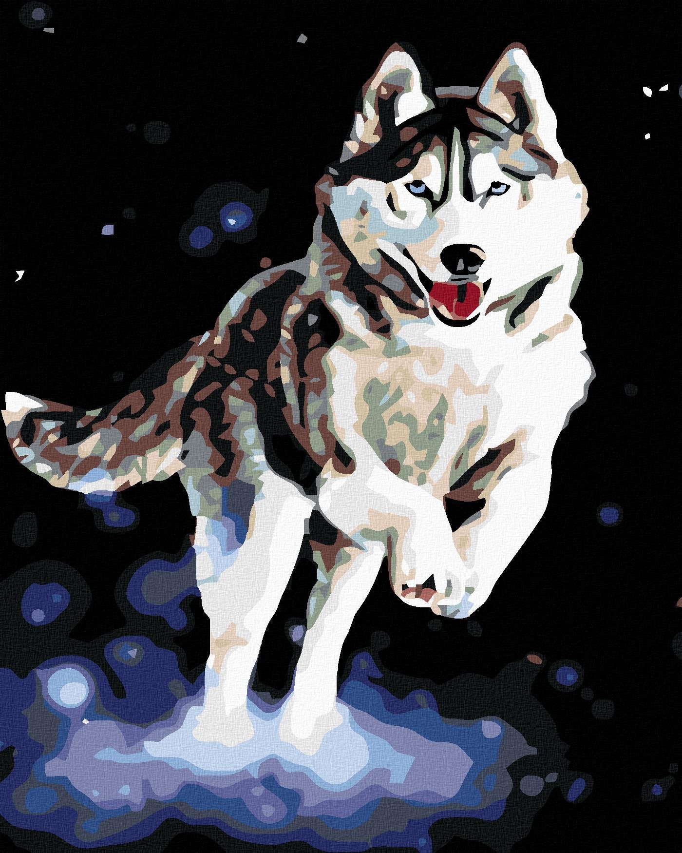 Diamondi - HUSKY, 40x50 cm, vypnuté plátno na rám
