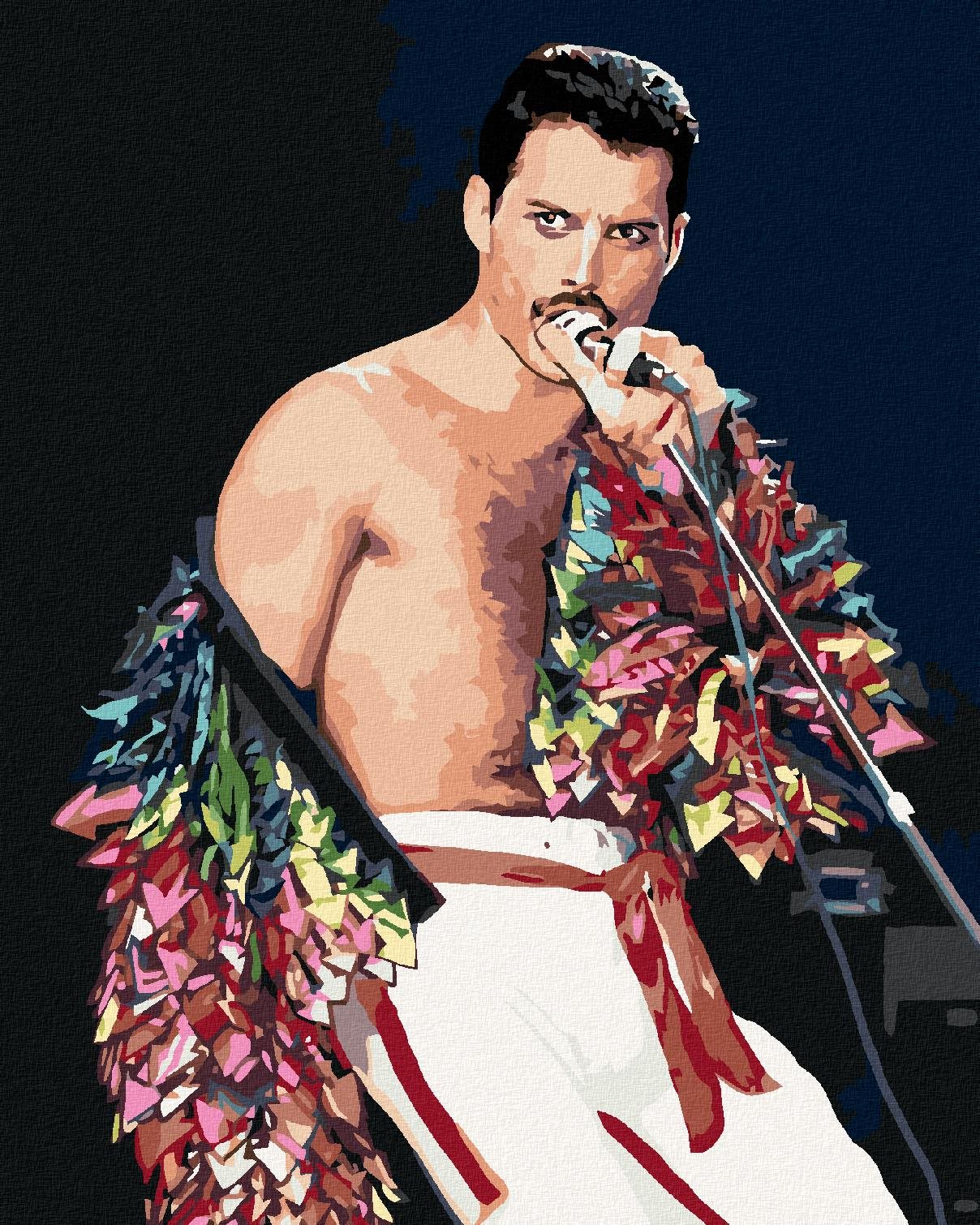 Diamondi - FREDDIE MERCURY, 40x50 cm, vypnuté plátno na rám