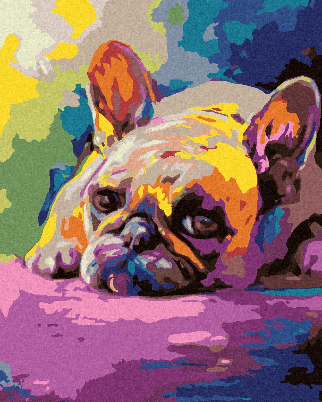 Diamondi - LEŽÍCÍ BULDOČEK, 40x50 cm, vypnuté plátno na rám