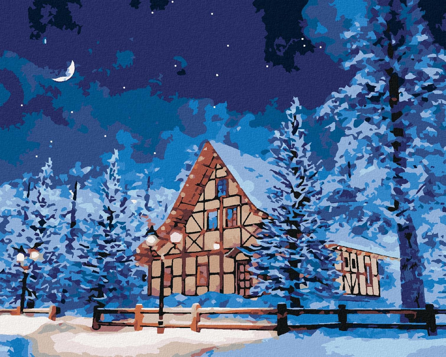 Diamondi - ZASNĚŽENÝ SRUB NA HORÁCH, 40x50 cm, vypnuté plátno na rám