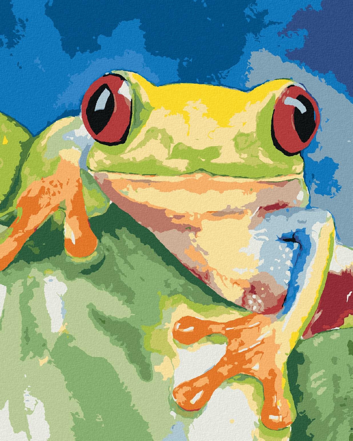 Diamondi - ŽÁBA SEDÍCÍ NA LISTU, 40x50 cm, vypnuté plátno na rám