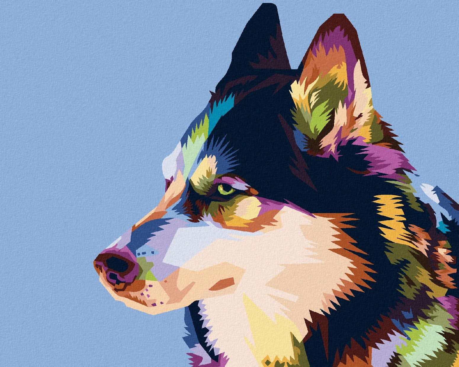 Diamondi - BAREVNÝ HUSKY, 40x50 cm, vypnuté plátno na rám