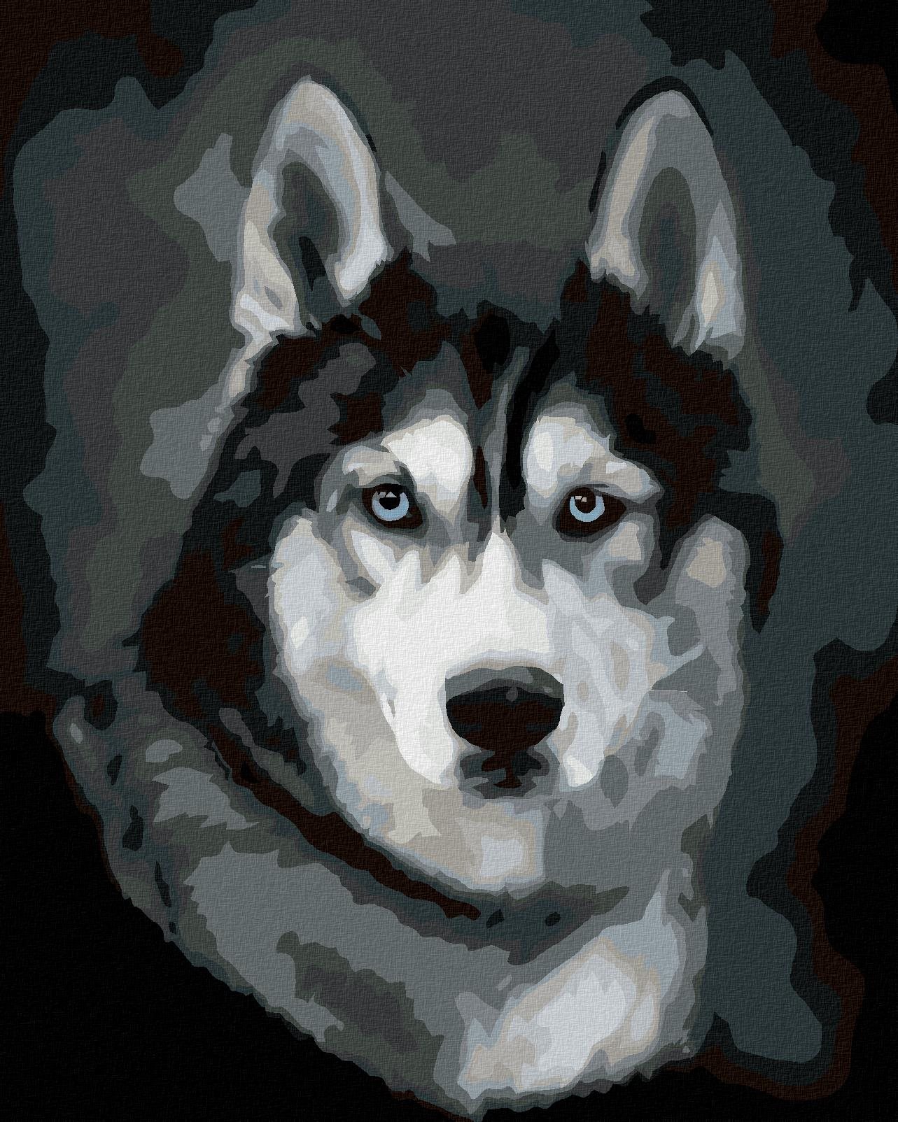 Diamondi - Diamantové malování - HUSKY PORTRÉT, 40x50 cm, Vypnuté plátno na rám