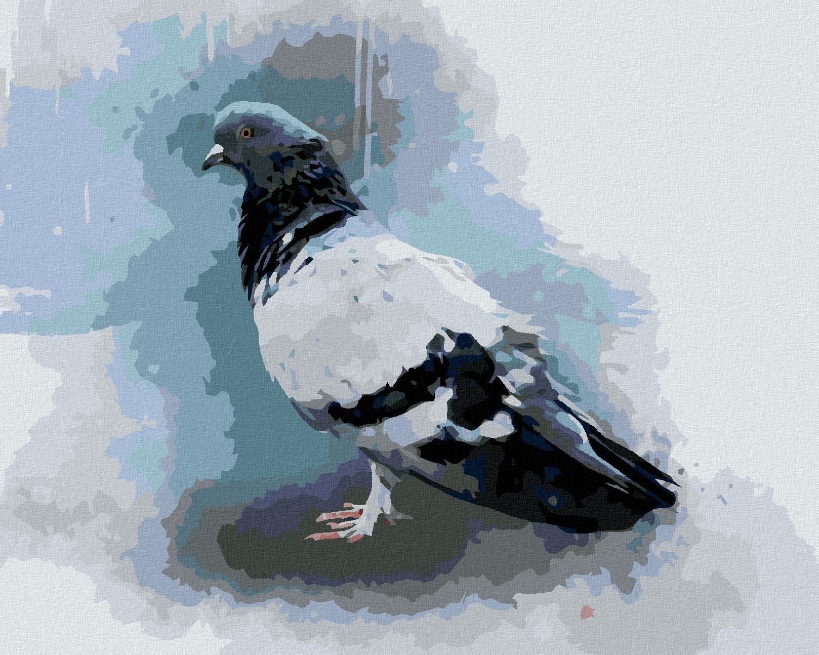 Diamondi - HOLUB, 40x50 cm, vypnuté plátno na rám