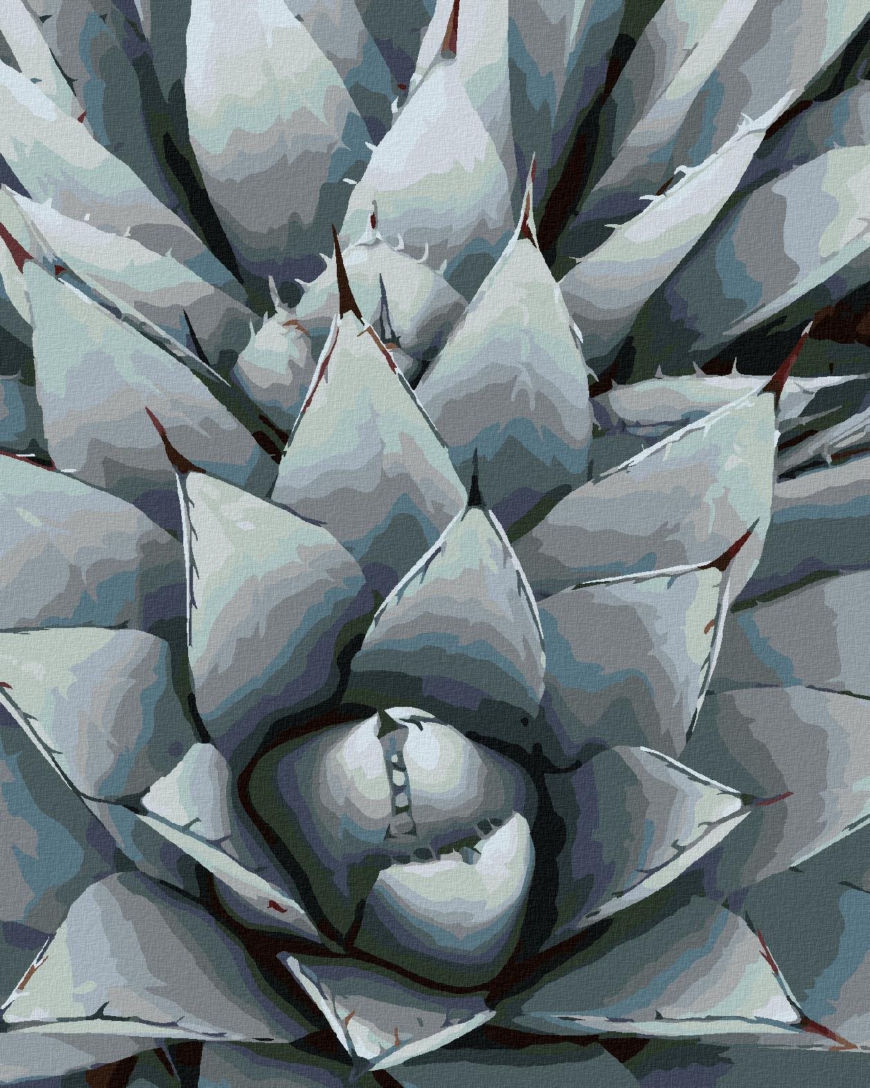 Diamondi - KAKTUS AGAVE, 40x50 cm, vypnuté plátno na rám