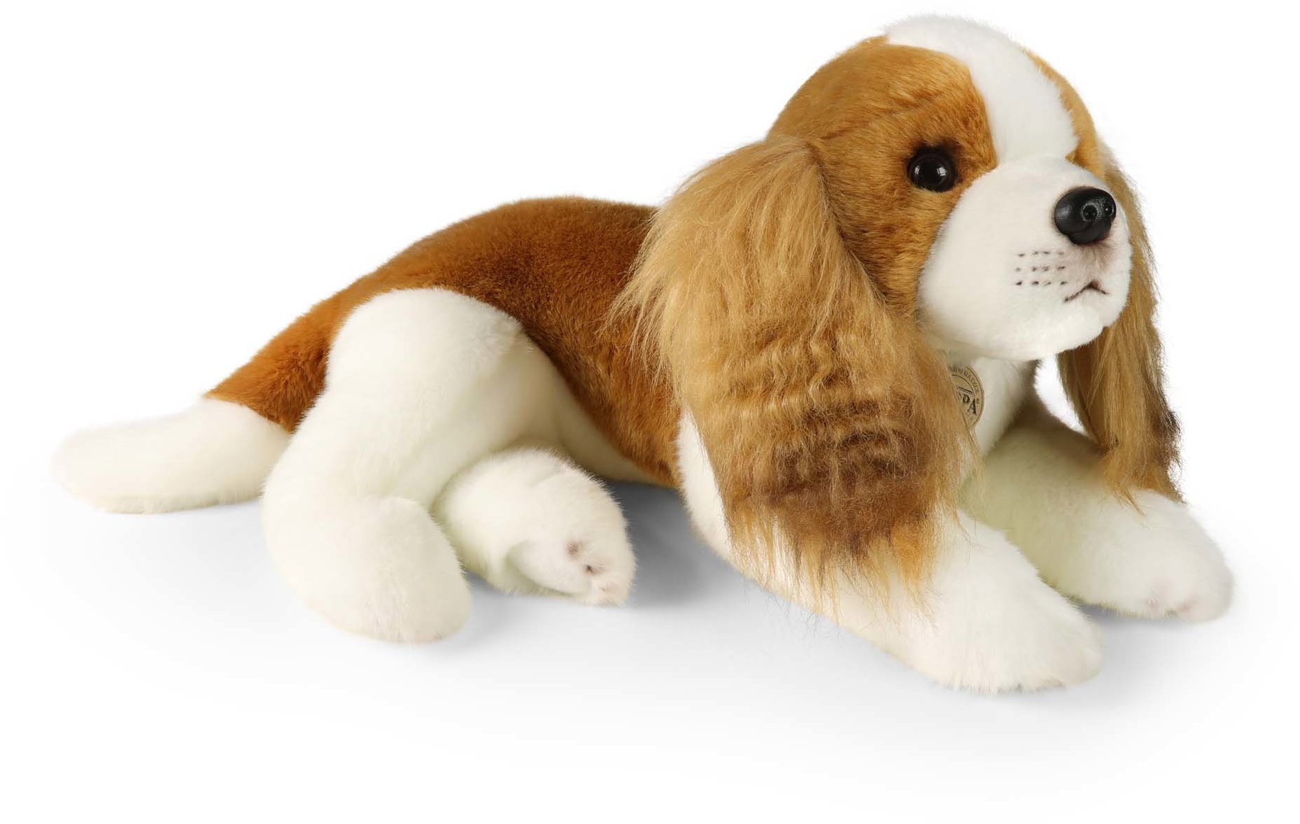 RAPPA Plyšový pes kavalír king Charles španěl 40 cm, Eco-Friendly
