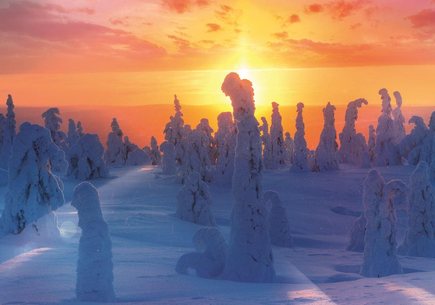 Trefl Puzzle Finská příroda 1000 dílků