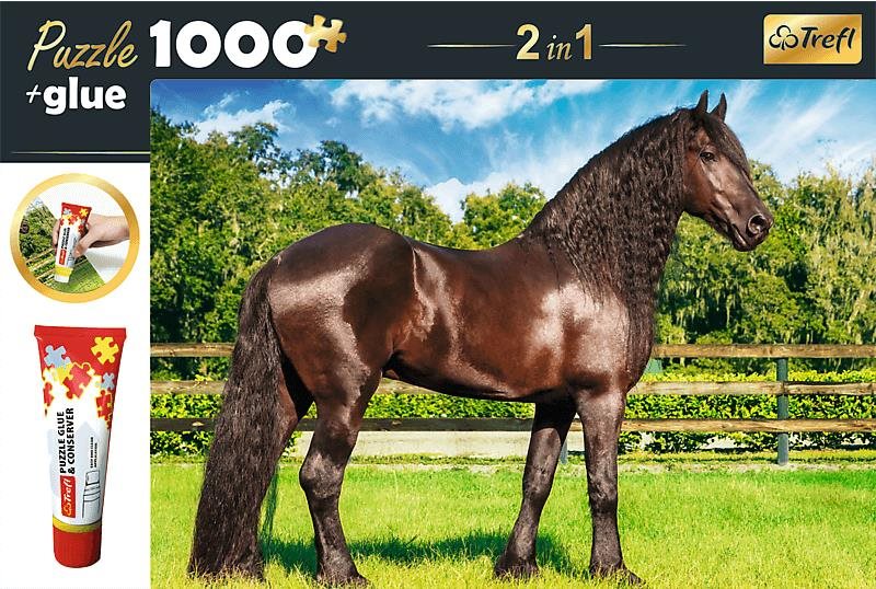 Trefl Sada 2v1 puzzle Fríský kůň 1000 dílků s lepidlem