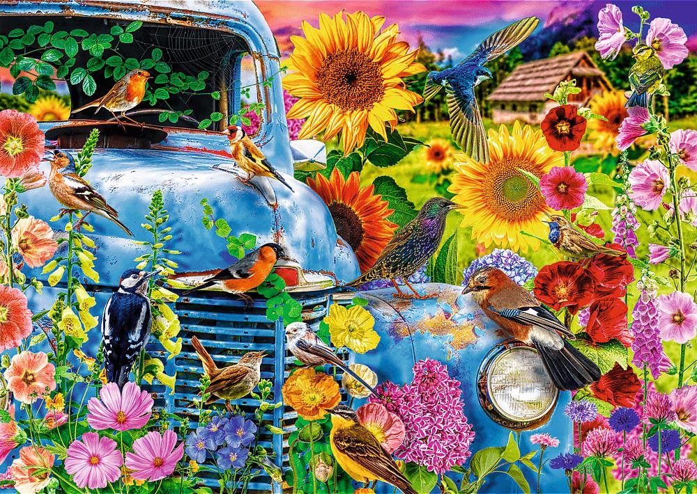 Trefl Puzzle Premium Plus Tea Time: Zpěvní ptáci 1000 dílků