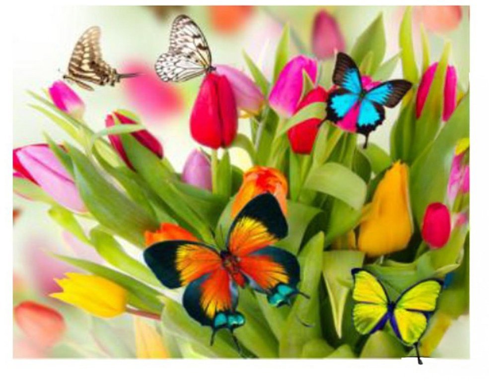 Vikpap Malování podle čísel, plátno 30 × 20 cm - Jarní sen