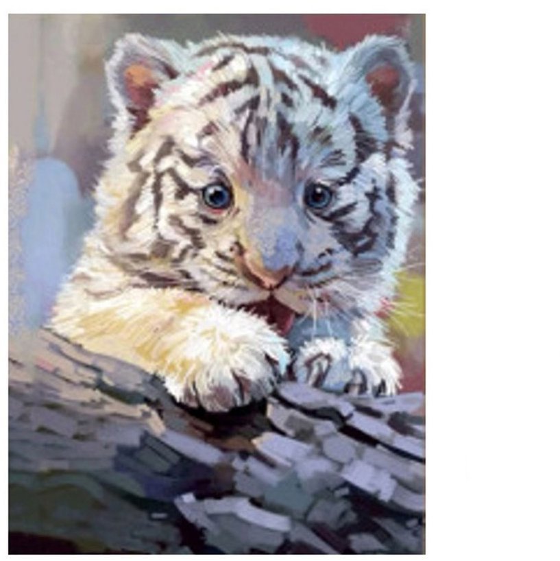 Vikpap Malování podle čísel, plátno 30 × 40 cm - Bílé tygří mládě