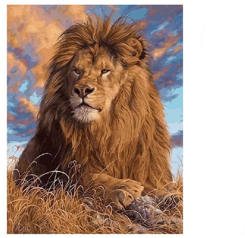 Vikpap Malování podle čísel, plátno 30 × 40 cm - Král zvířat