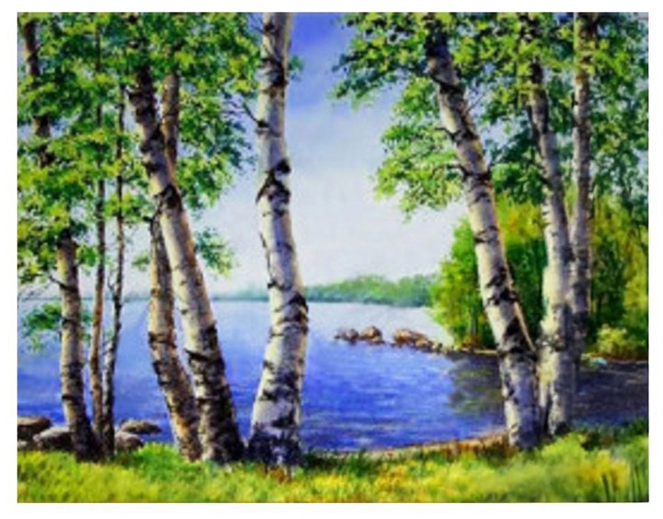 Vikpap Malování podle čísel, plátno 40 × 30 cm - Břízy