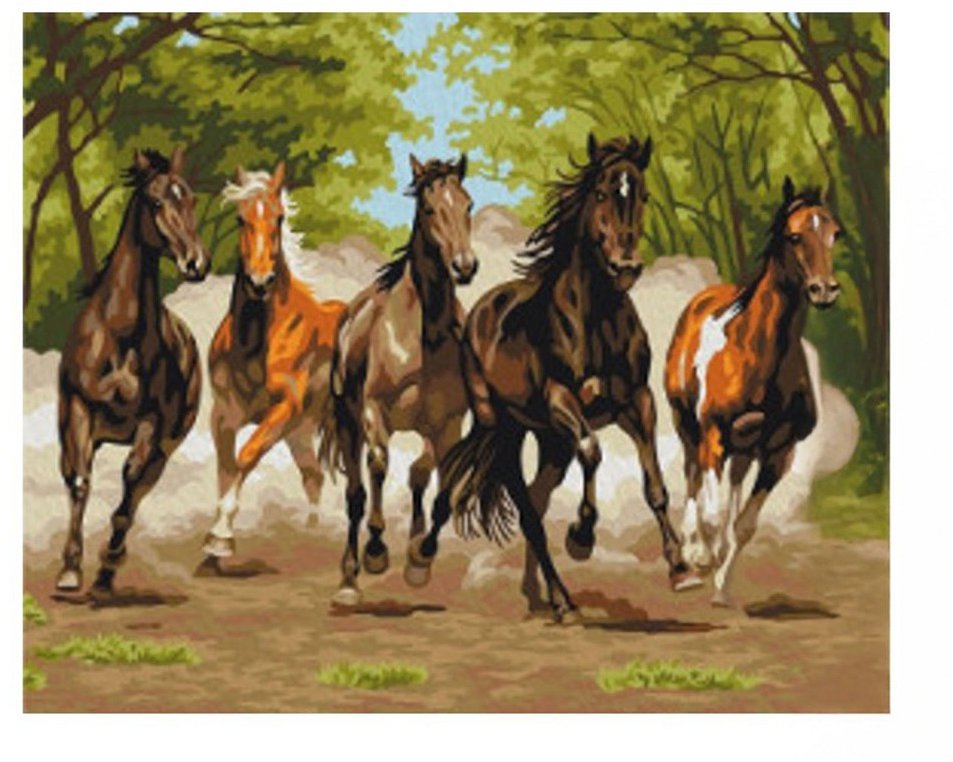 Vikpap Malování podle čísel, plátno 40 × 30 cm - Cval divočiny