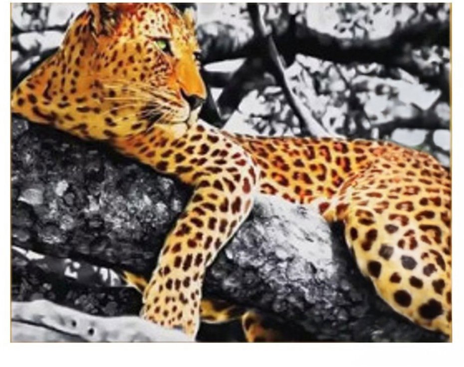Vikpap Malování podle čísel, plátno 40 × 30 cm - Gepard
