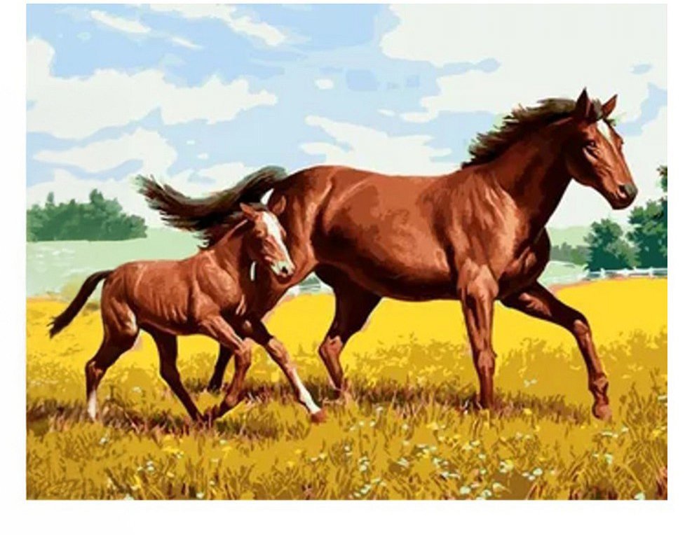 Vikpap Malování podle čísel, plátno 40 × 30 cm - Klus přírodou