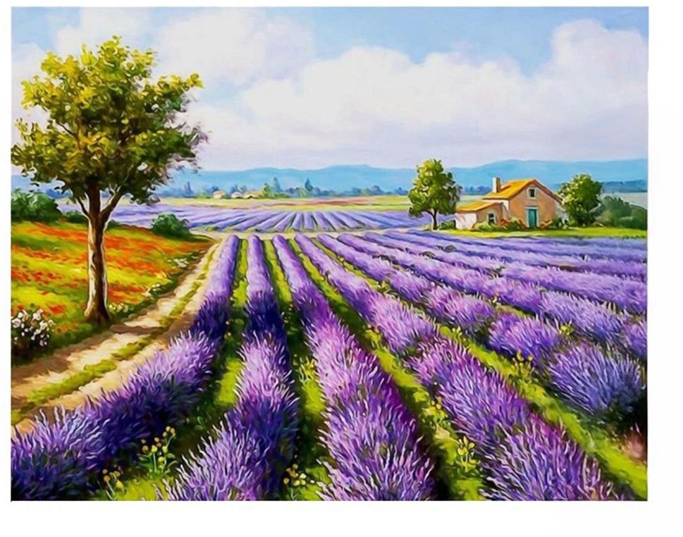 Vikpap Malování podle čísel, plátno 40 × 30 cm - Provence