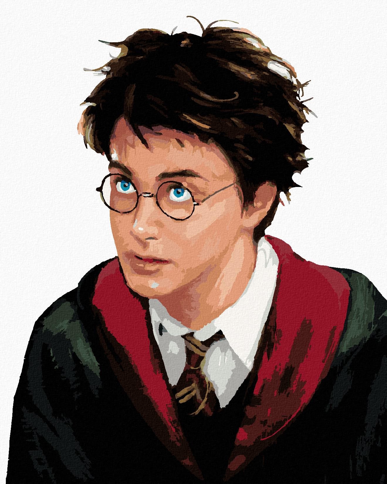 Zuty - Harry potter portrét, 40×50 cm, vypnuté plátno na rám