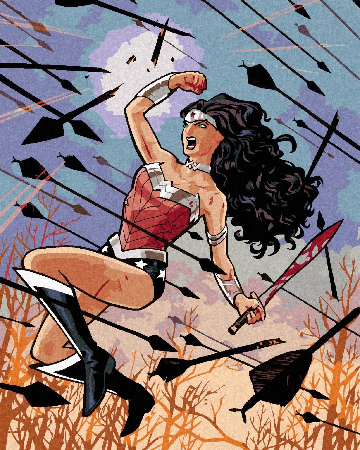 Zuty - Wonder woman šípy, 40×50 cm, vypnuté plátno na rám