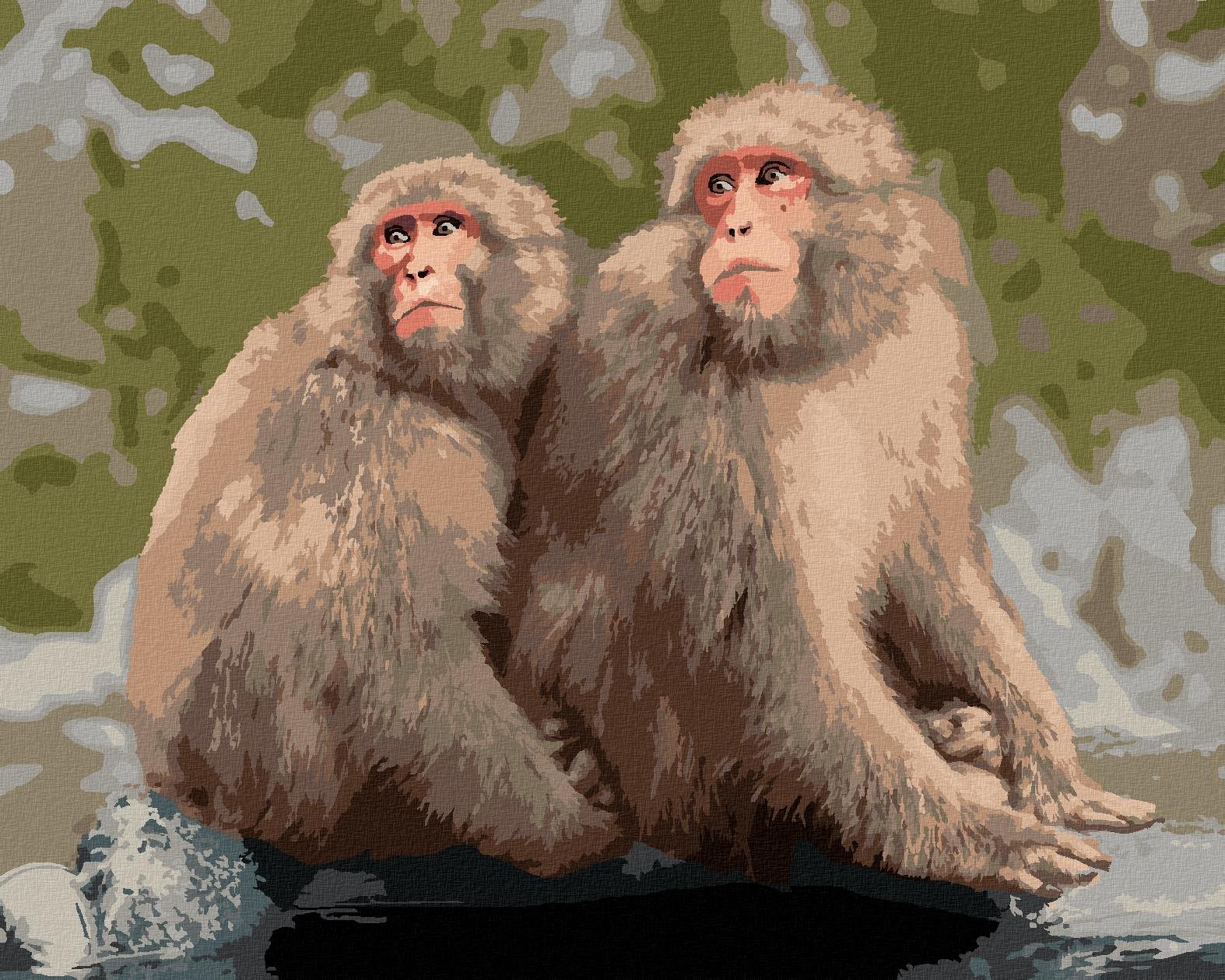 Dvě opice v zoo v Japonsku, 80×100 cm, vypnuté plátno na rám