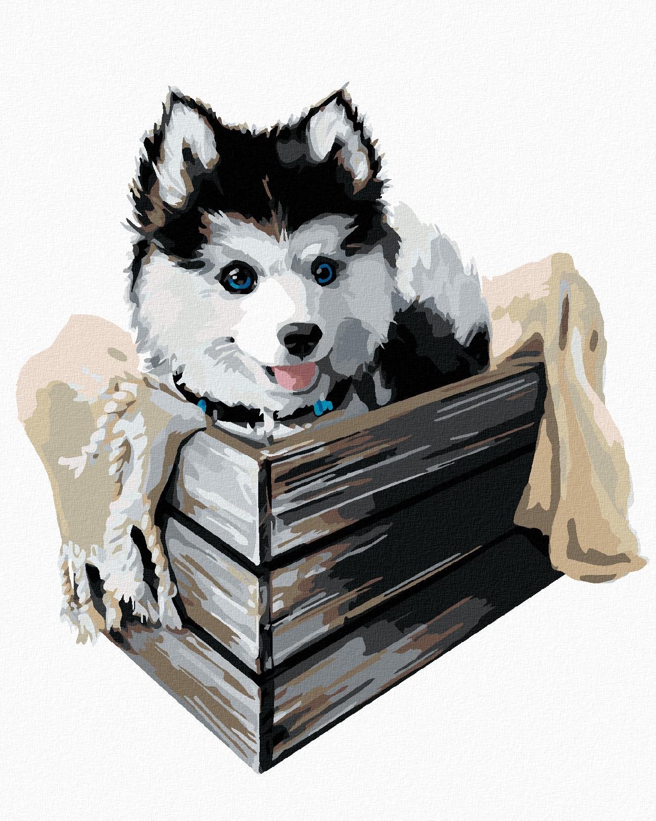 Husky v krabici, 80×100 cm, vypnuté plátno na rám