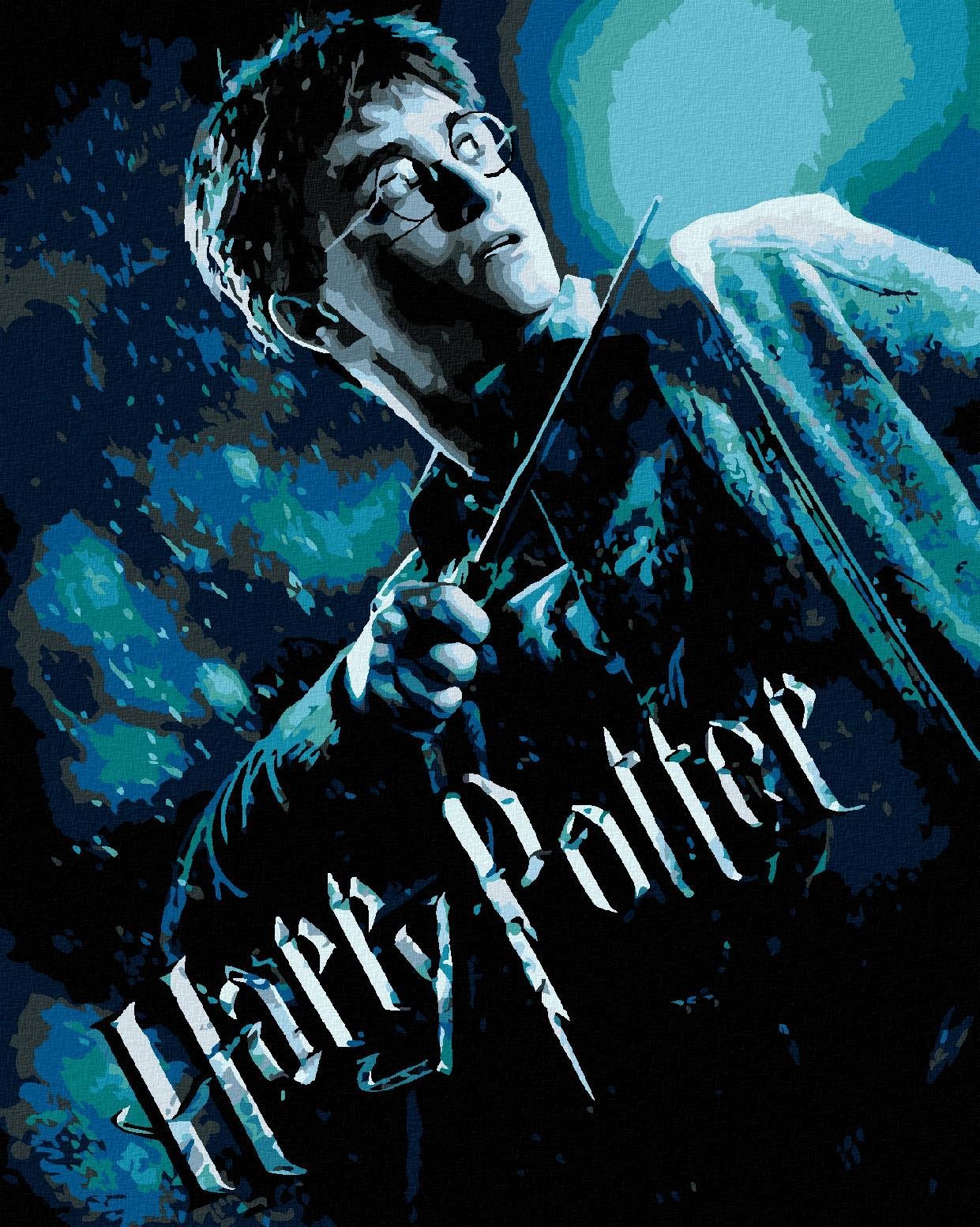 Plakát Harry Potter a princ dvojí krve, 40×50 cm, bez rámu a bez vypnutí plátna
