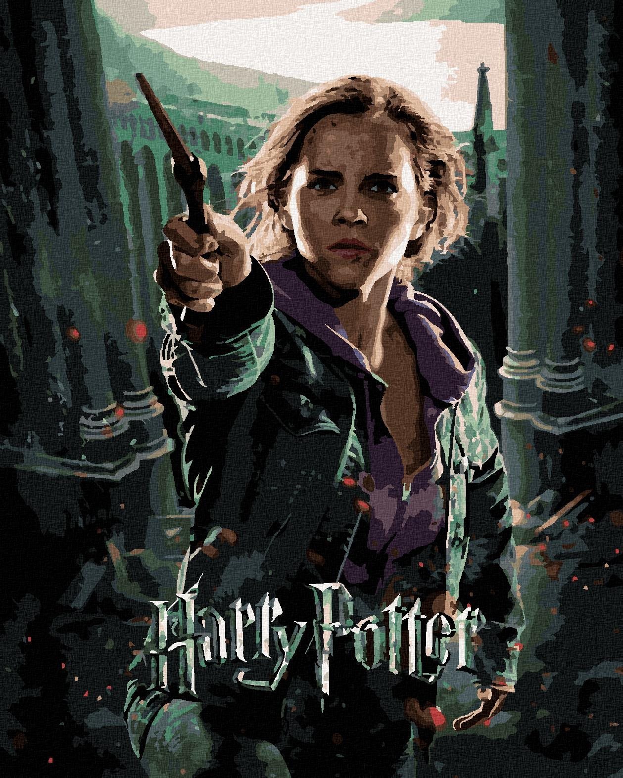 Plakát Harry Potter a relikvie smrti Hermiona, 40×50 cm, vypnuté plátno na rám