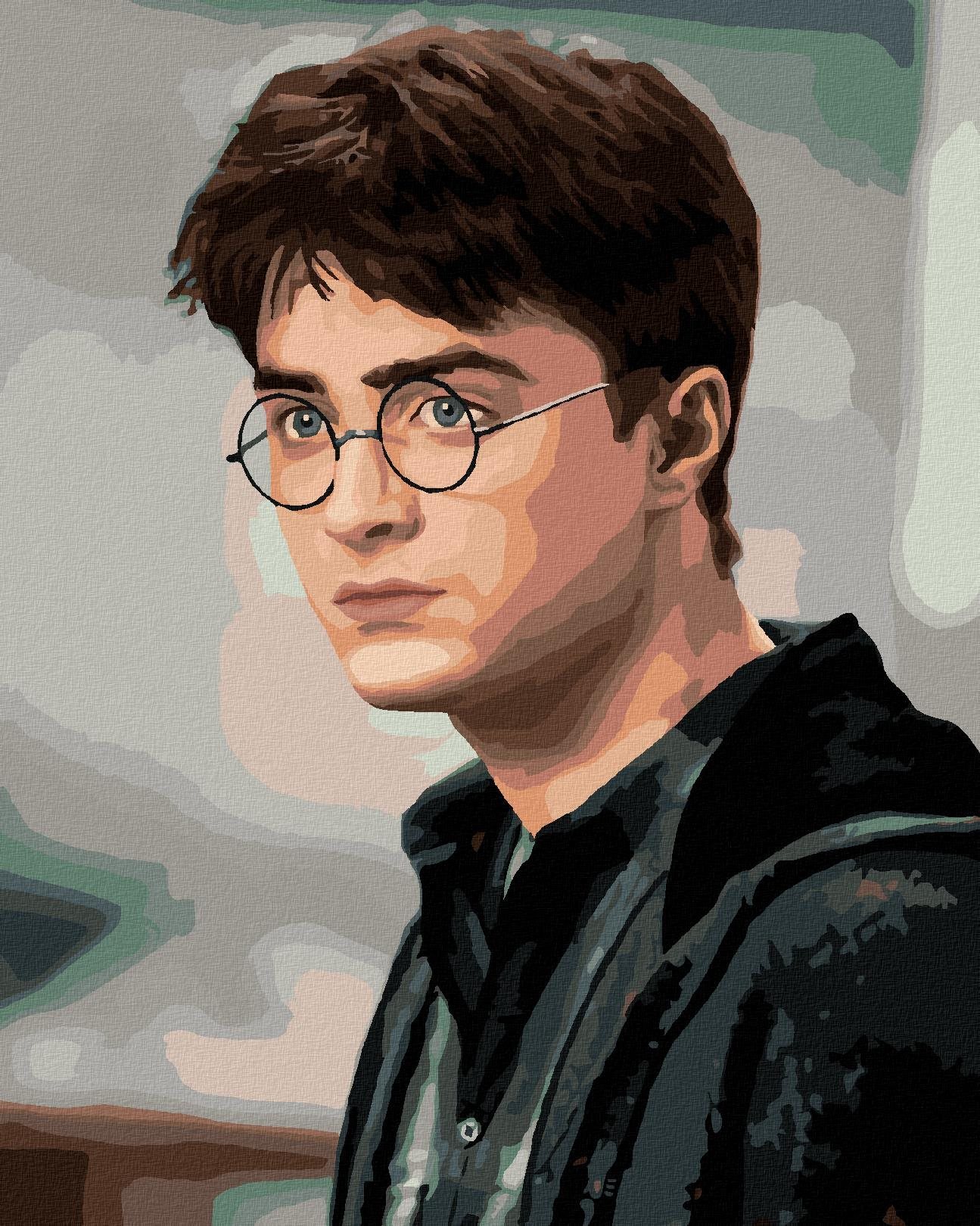 Portrét zahleděný Harry Potter, 40×50 cm, vypnuté plátno na rám