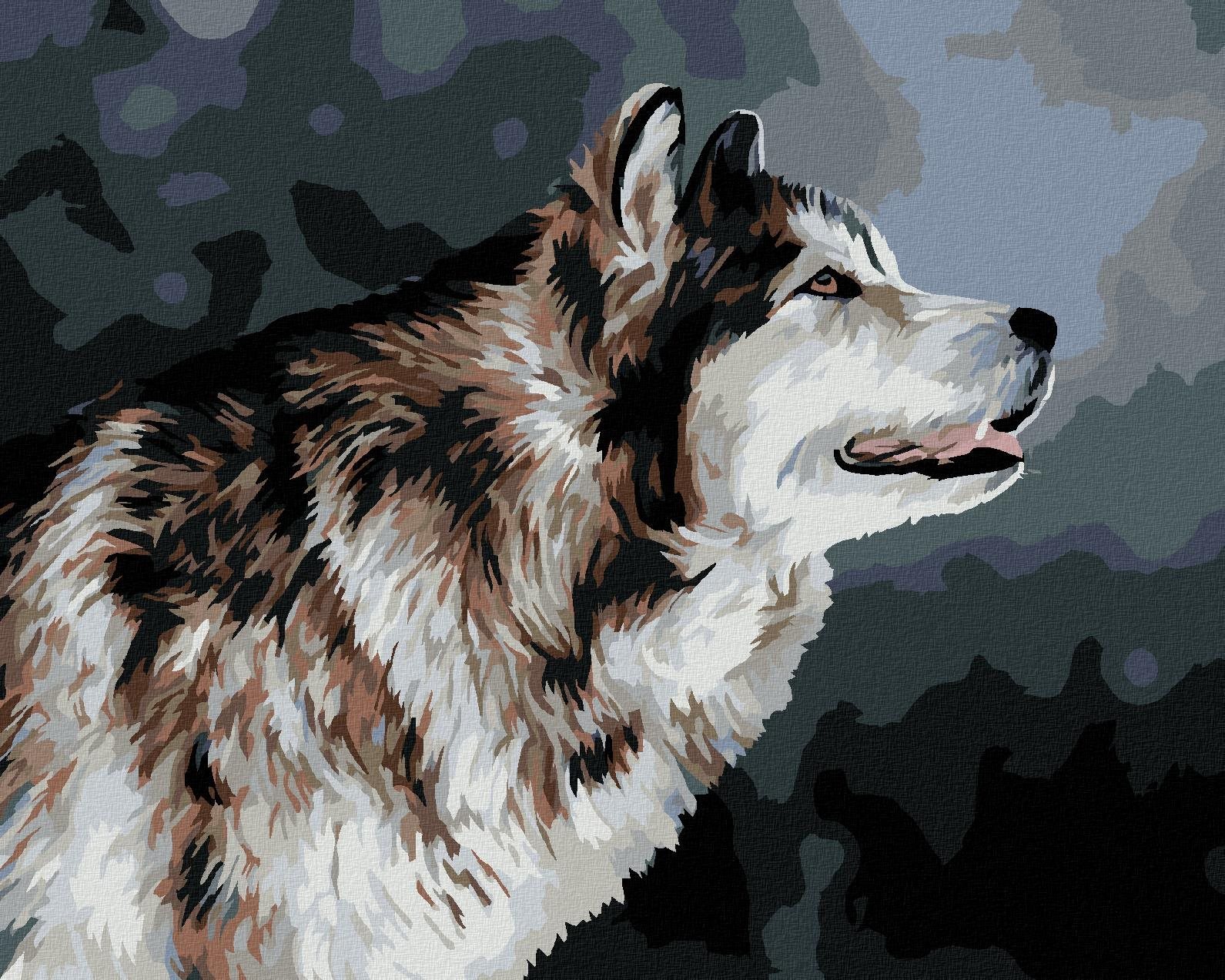 Vyhlížející husky, 40×50 cm, vypnuté plátno na rám