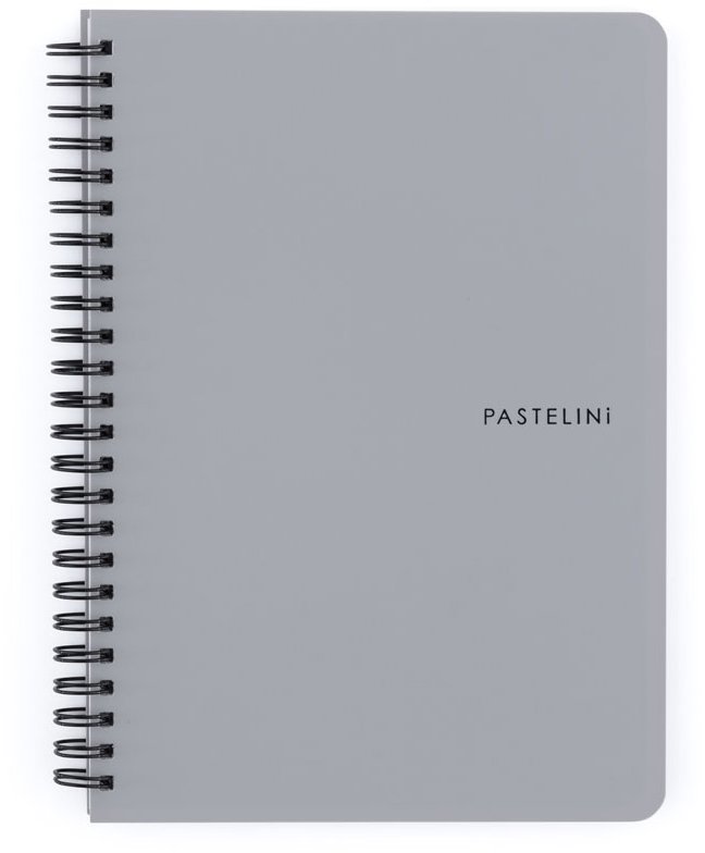 KARTON P+P Pastelini Twin wire A5 PP šedý