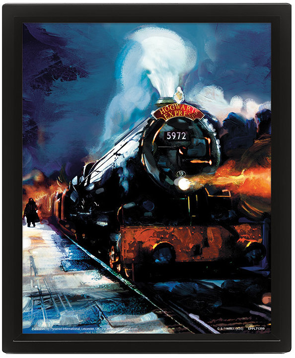 Harry Potter 3D: Bradavický expres - obraz