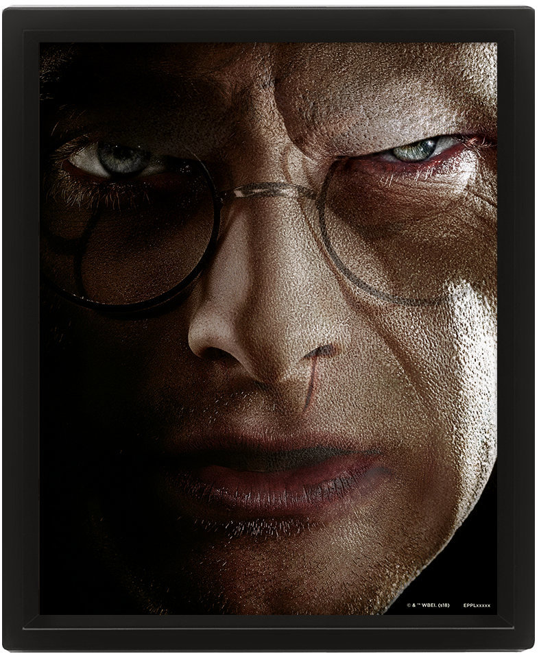 Harry Potter 3D: Harry vs Voldemort - obraz