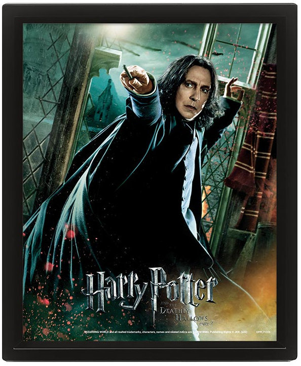 Harry Potter 3D: Snape - obraz
