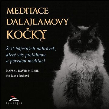 Meditace dalajlamovy kočky