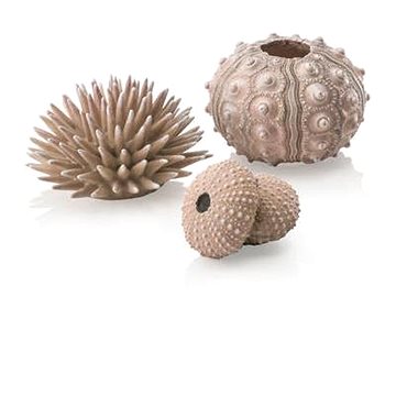 biOrb sea urchins set přírodní