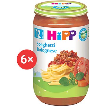 HiPP BIO Boloňské špagety 6× 250 g (4062300262522)