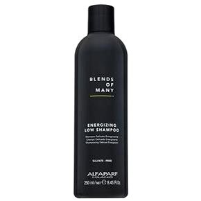 ALFAPARF MILANO Blends of Many Energizing Low Shampoo posilující šampon pro řídnoucí vlasy 250 ml (HALFABLOFMMXN116574)
