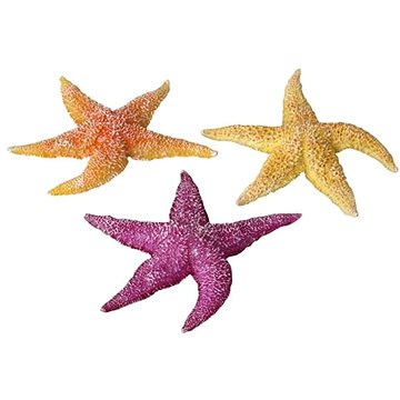 Ebi Aqua Della mořské hvězdice mix 17 × 15 × 2,3 cm 1 ks (4047059421000)