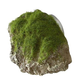Ebi Aqua Della mechem zarostlý kámen s přísavkami S 12 × 9,5 × 10,5 cm (4047059430156)