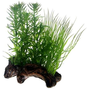 Hobby Rostliny na keramickém kořeni do akvária 17 cm (4011444515957)