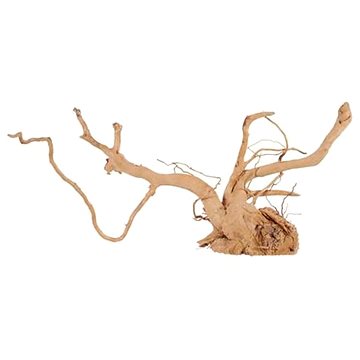 Zolux Spider root přírodní naplavené dřevo 50-60 cm (3336023560533)