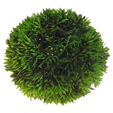 Hobby Plant Ball 9 cm (4011444415400)