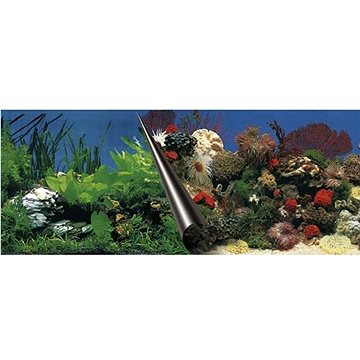 Ebi Photo Decor Stone Coral 60 × 30 cm (4047059108833)