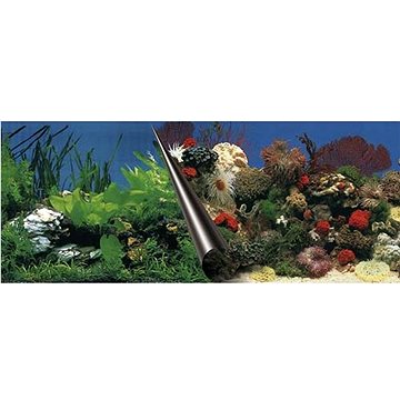 Ebi Photo Decor Stone Coral 80 × 40 cm (4047059108857)